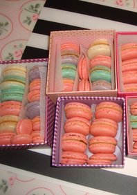  «macarons» (C47660)