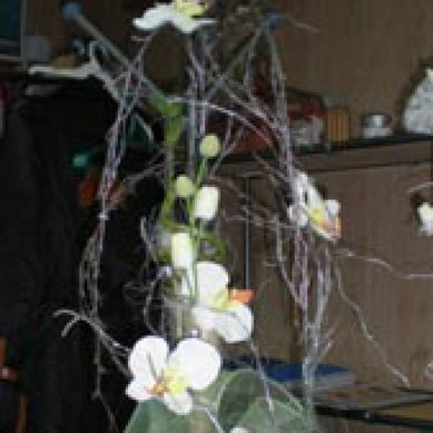 Цветочная композиция Ш5028 - Салон цветов Шафали