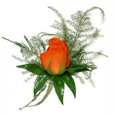 Бутоньерка Ш5037 - Салон цветов Шафали